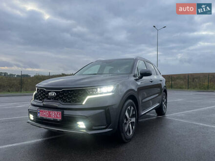 Киа Соренто 2021 в Ровно на Automoto.ua Серый Киа Соренто, объемом двигателя 2.15 л и пробегом 189 тыс. км за 32550 $, фото 1 на Automoto.ua