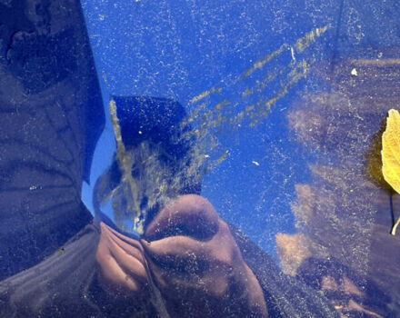 Синий Киа EV6, объемом двигателя 0 л и пробегом 27 тыс. км за 23800 $, фото 7 на Automoto.ua