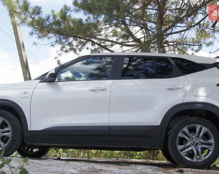 Киа Seltos 2020 в Соленом на Automoto.ua Белый Киа Seltos, объемом двигателя 1.98 л и пробегом 30 тыс. км за 18500 $, фото 22 на Automoto.ua