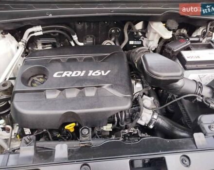 Белый Киа Sportage, объемом двигателя 1.58 л и пробегом 224 тыс. км за 11300 $, фото 33 на Automoto.ua