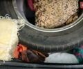 Білий Кіа Sportage, об'ємом двигуна 1.59 л та пробігом 50 тис. км за 19500 $, фото 103 на Automoto.ua