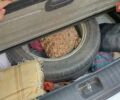Білий Кіа Sportage, об'ємом двигуна 1.59 л та пробігом 50 тис. км за 19500 $, фото 102 на Automoto.ua