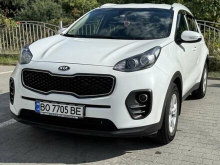 Киа Sportage 2016 в Тернополе на Automoto.ua Белый Киа Sportage, объемом двигателя 1.69 л и пробегом 74 тыс. км за 17500 $, фото 1 на Automoto.ua