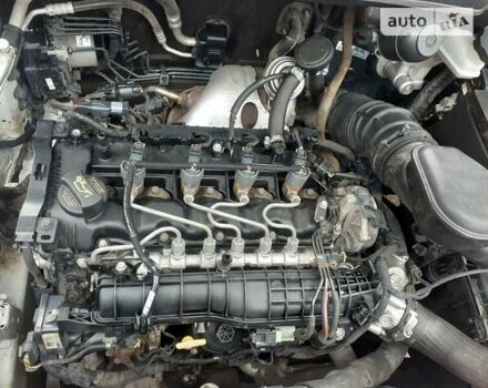 Киа Sportage, объемом двигателя 1.7 л и пробегом 297 тыс. км за 11500 $, фото 38 на Automoto.ua