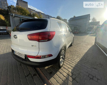 Киа Sportage, объемом двигателя 1.59 л и пробегом 161 тыс. км за 14300 $, фото 3 на Automoto.ua