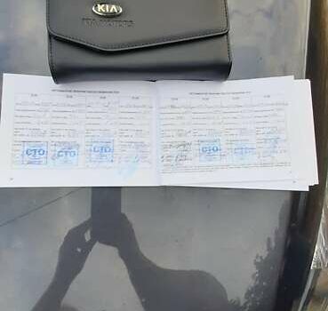 Серый Киа Sportage, объемом двигателя 1.69 л и пробегом 195 тыс. км за 15000 $, фото 11 на Automoto.ua