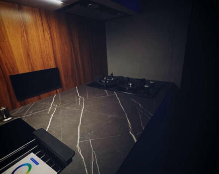 Кинг Кинг, объемом двигателя 0 л и пробегом 1 тыс. км за 74950 $, фото 11 на Automoto.ua