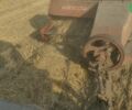 Киргизстан ППП-Ф-16 1995 в Бучаче на Automoto.ua Киргизстан ППП-Ф-16, объемом двигателя 0 л и пробегом 0 тыс. км за 2500 $, фото 16 на Automoto.ua