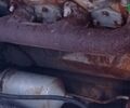 Кировец К 700, объемом двигателя 0 л и пробегом 1 тыс. км за 4368 $, фото 5 на Automoto.ua