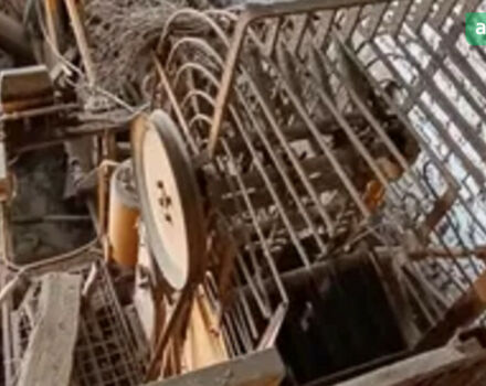 Клейне (Франц Клейне) 5002, объемом двигателя 0 л и пробегом 0 тыс. км за 1190 $, фото 5 на Automoto.ua