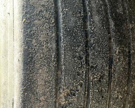 Черный Когель SN 24, объемом двигателя 0 л и пробегом 1 тыс. км за 9150 $, фото 13 на Automoto.ua