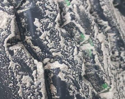 Синий Когель SN 24, объемом двигателя 0 л и пробегом 0 тыс. км за 5500 $, фото 5 на Automoto.ua