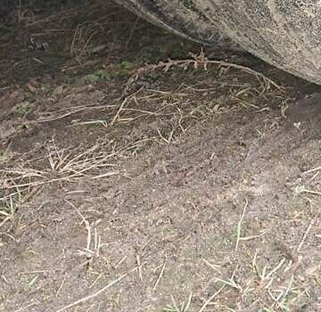 Сірий Когель YWE, об'ємом двигуна 0 л та пробігом 1 тис. км за 3500 $, фото 2 на Automoto.ua