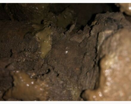 Коматсу Другая, об'ємом двигуна 0 л та пробігом 0 тис. км за 71543 $, фото 10 на Automoto.ua