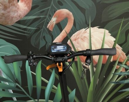 КрАЗ 255Б1, объемом двигателя 14.86 л и пробегом 0 тыс. км за 710 $, фото 10 на Automoto.ua