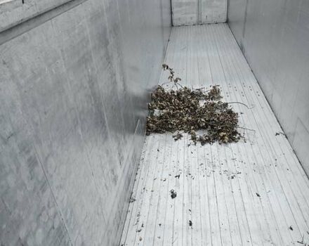 КрАЗ 255Б1, об'ємом двигуна 14.86 л та пробігом 400 тис. км за 17500 $, фото 7 на Automoto.ua