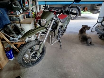 КрАЗ 255Б1, объемом двигателя 14.86 л и пробегом 0 тыс. км за 6700 $, фото 1 на Automoto.ua