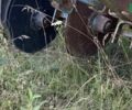 Червона Зірка СЗ-5,4, об'ємом двигуна 0 л та пробігом 0 тис. км за 2427 $, фото 3 на Automoto.ua