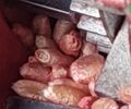 Красная звезда СЗ-5,4, объемом двигателя 0 л и пробегом 0 тыс. км за 4853 $, фото 3 на Automoto.ua