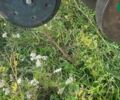 Червона Зірка СЗ-5,4, об'ємом двигуна 0 л та пробігом 0 тис. км за 7280 $, фото 19 на Automoto.ua