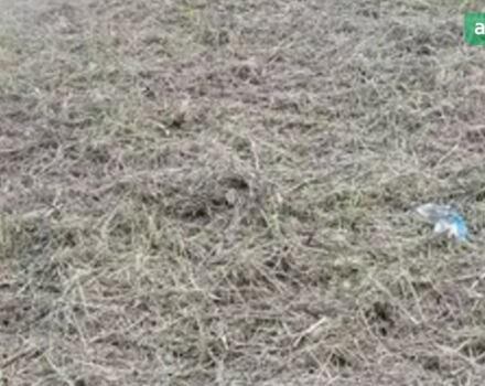 Кубота ГЛ, объемом двигателя 1.4 л и пробегом 0 тыс. км за 6900 $, фото 6 на Automoto.ua