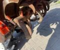 Кубота Інша, об'ємом двигуна 1.4 л та пробігом 1 тис. км за 7400 $, фото 7 на Automoto.ua