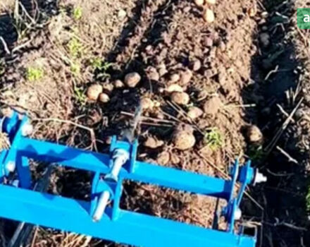 Кубота L1501, об'ємом двигуна 0.74 л та пробігом 0 тис. км за 5300 $, фото 4 на Automoto.ua