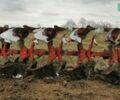 Кун Мульти-Мастер, объемом двигателя 0 л и пробегом 0 тыс. км за 26693 $, фото 3 на Automoto.ua