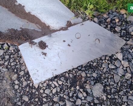 Квернеланд BB, объемом двигателя 0 л и пробегом 0 тыс. км за 1100 $, фото 4 на Automoto.ua