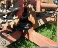 Квернеланд KTB 2001 в Ковель на Automoto.ua Квернеланд KTB, объемом двигателя 0 л и пробегом 0 тыс. км за 4500 $, фото 4 на Automoto.ua