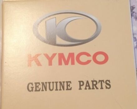 Кимко Гранд Динк, объемом двигателя 0.25 л и пробегом 0 тыс. км за 43 $, фото 4 на Automoto.ua