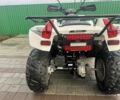 Кимко МКсЮ, объемом двигателя 0.3 л и пробегом 0 тыс. км за 2650 $, фото 6 на Automoto.ua
