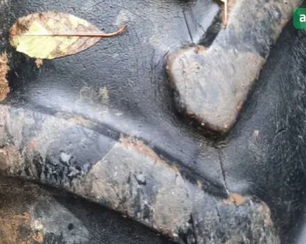 ЛТЗ Т-40, объемом двигателя 4.15 л и пробегом 0 тыс. км за 2800 $, фото 2 на Automoto.ua