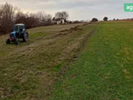 ЛТЗ Т-40, объемом двигателя 4.15 л и пробегом 0 тыс. км за 3000 $, фото 1 на Automoto.ua