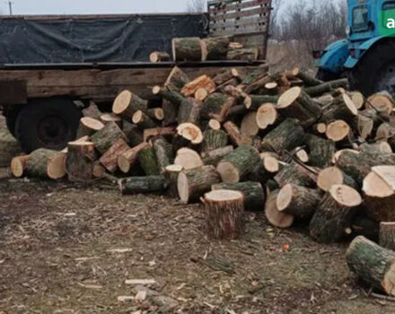 ЛТЗ Т-40АМ, объемом двигателя 4.15 л и пробегом 0 тыс. км за 4000 $, фото 6 на Automoto.ua