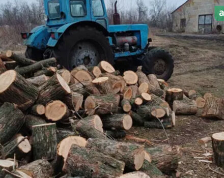 ЛТЗ Т-40АМ, объемом двигателя 4.15 л и пробегом 0 тыс. км за 4000 $, фото 3 на Automoto.ua