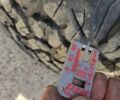Зелений Ленд Ровер Freelander, об'ємом двигуна 2 л та пробігом 356 тис. км за 5019 $, фото 14 на Automoto.ua