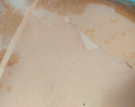 Оранжевый Ленд Ровер Рендж Ровер Спорт, объемом двигателя 4.2 л и пробегом 200 тыс. км за 7500 $, фото 6 на Automoto.ua