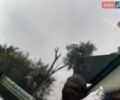 Чорний Ленд Ровер Рендж Ровер, об'ємом двигуна 4.2 л та пробігом 280 тис. км за 8500 $, фото 14 на Automoto.ua