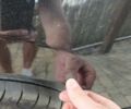 Черный Ленд Ровер Рендж Ровер, объемом двигателя 5 л и пробегом 295 тыс. км за 17700 $, фото 6 на Automoto.ua
