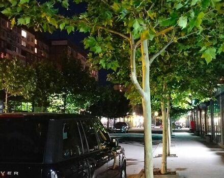 Синій Ленд Ровер Рендж Ровер, об'ємом двигуна 5 л та пробігом 177 тис. км за 16000 $, фото 56 на Automoto.ua