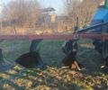 Лемкен Диамант, объемом двигателя 0 л и пробегом 0 тыс. км за 1050 $, фото 2 на Automoto.ua