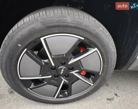 Серый Леопард 3, объемом двигателя 0 л и пробегом 1 тыс. км за 29999 $, фото 37 на Automoto.ua