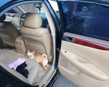 Черный Лексус ЕС, объемом двигателя 3 л и пробегом 230 тыс. км за 6000 $, фото 10 на Automoto.ua