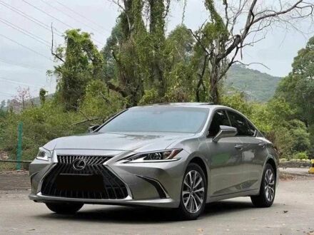 Лексус ЕС 2020 у Березань на Automoto.ua Сірий Лексус ЕС, об'ємом двигуна 2.5 л та пробігом 42 тис. км за 37000 $, фото 1 на Automoto.ua