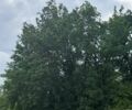 Білий Лексус ІС, об'ємом двигуна 2.5 л та пробігом 215 тис. км за 8300 $, фото 3 на Automoto.ua