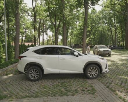 Білий Лексус НХ, об'ємом двигуна 2 л та пробігом 65 тис. км за 27900 $, фото 3 на Automoto.ua
