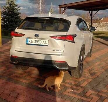 Белый Лексус НХ, объемом двигателя 2.49 л и пробегом 38 тыс. км за 39900 $, фото 9 на Automoto.ua