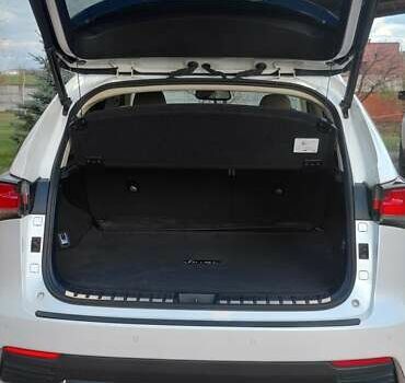 Белый Лексус НХ, объемом двигателя 2.49 л и пробегом 38 тыс. км за 39900 $, фото 50 на Automoto.ua