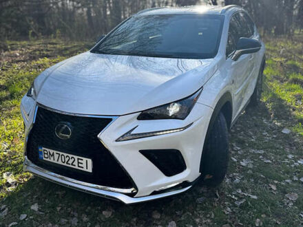 Лексус НХ 2018 в Фастове на Automoto.ua Белый Лексус НХ, объемом двигателя 2 л и пробегом 103 тыс. км за 27499 $, фото 1 на Automoto.ua
